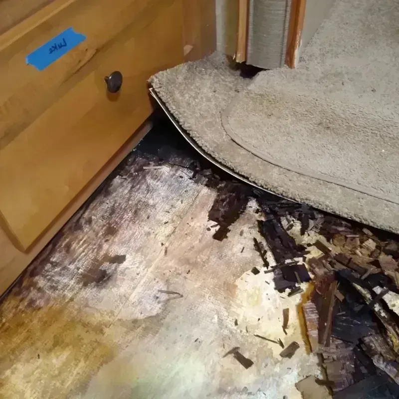 Wood Floor Water Damage in North Redington Beach, FL